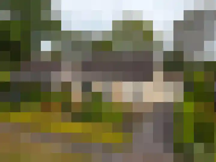 De Specht 72 Surhuisterveen thumbnail 4