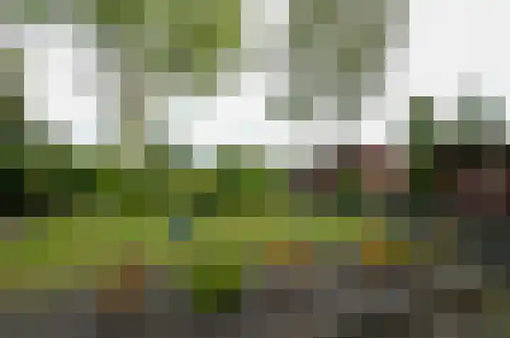 De Specht 72 Surhuisterveen thumbnail 40