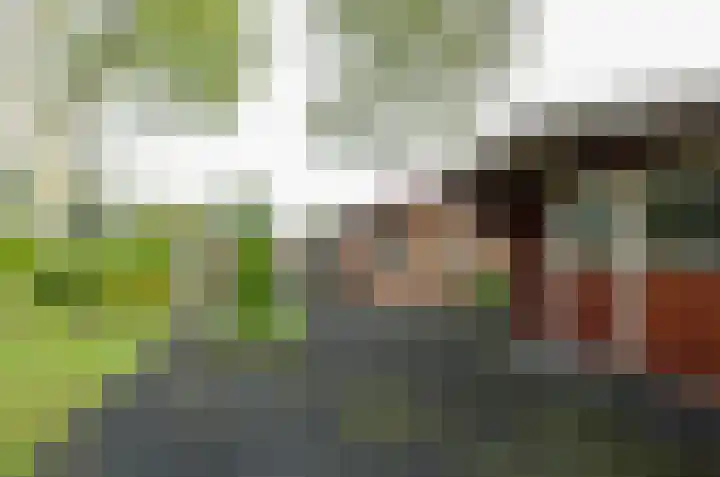 De Specht 72 Surhuisterveen thumbnail 41
