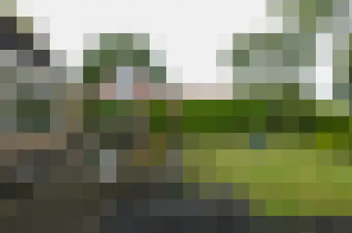 De Specht 72 Surhuisterveen thumbnail 42