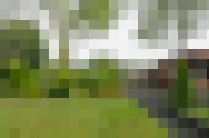 De Specht 72 Surhuisterveen thumbnail 43