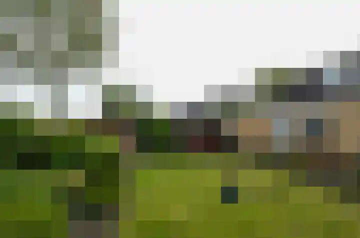 De Specht 72 Surhuisterveen thumbnail 45
