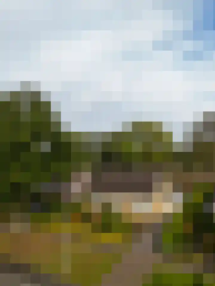 De Specht 72 Surhuisterveen thumbnail 46