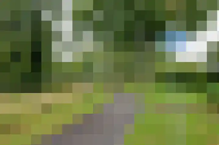 De Specht 72 Surhuisterveen thumbnail 48