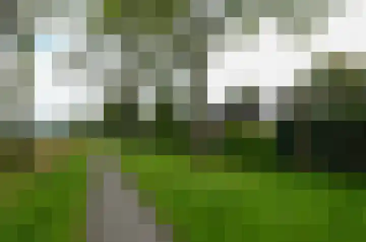 De Specht 72 Surhuisterveen thumbnail 49
