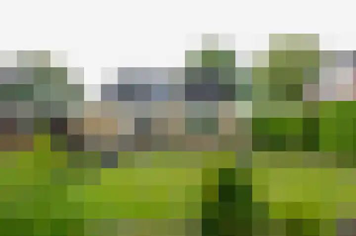 De Specht 72 Surhuisterveen thumbnail 6