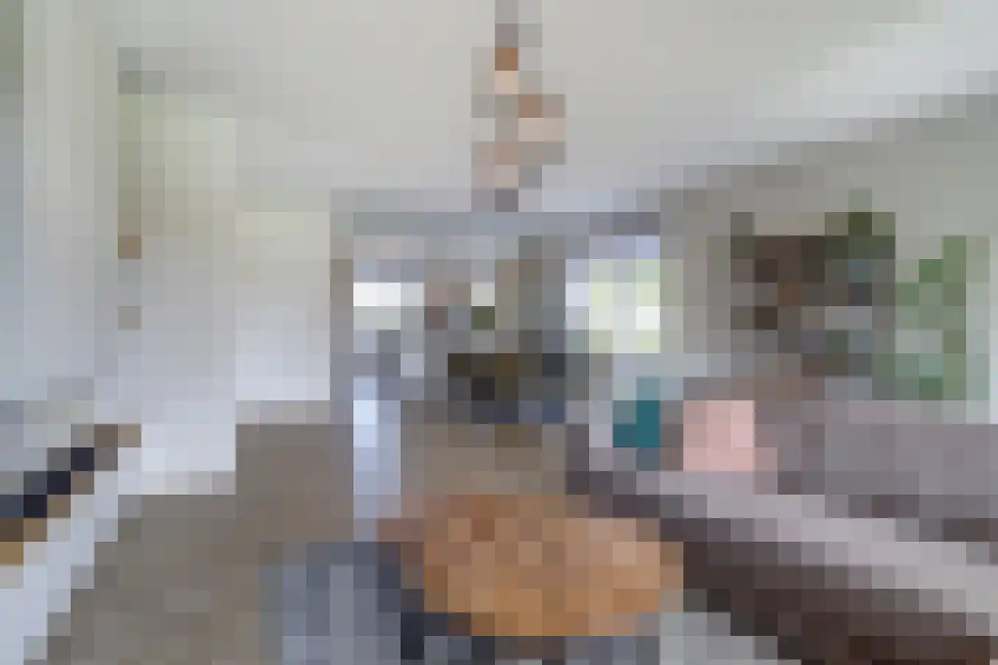 de Speelman 1 Reusel thumbnail 10