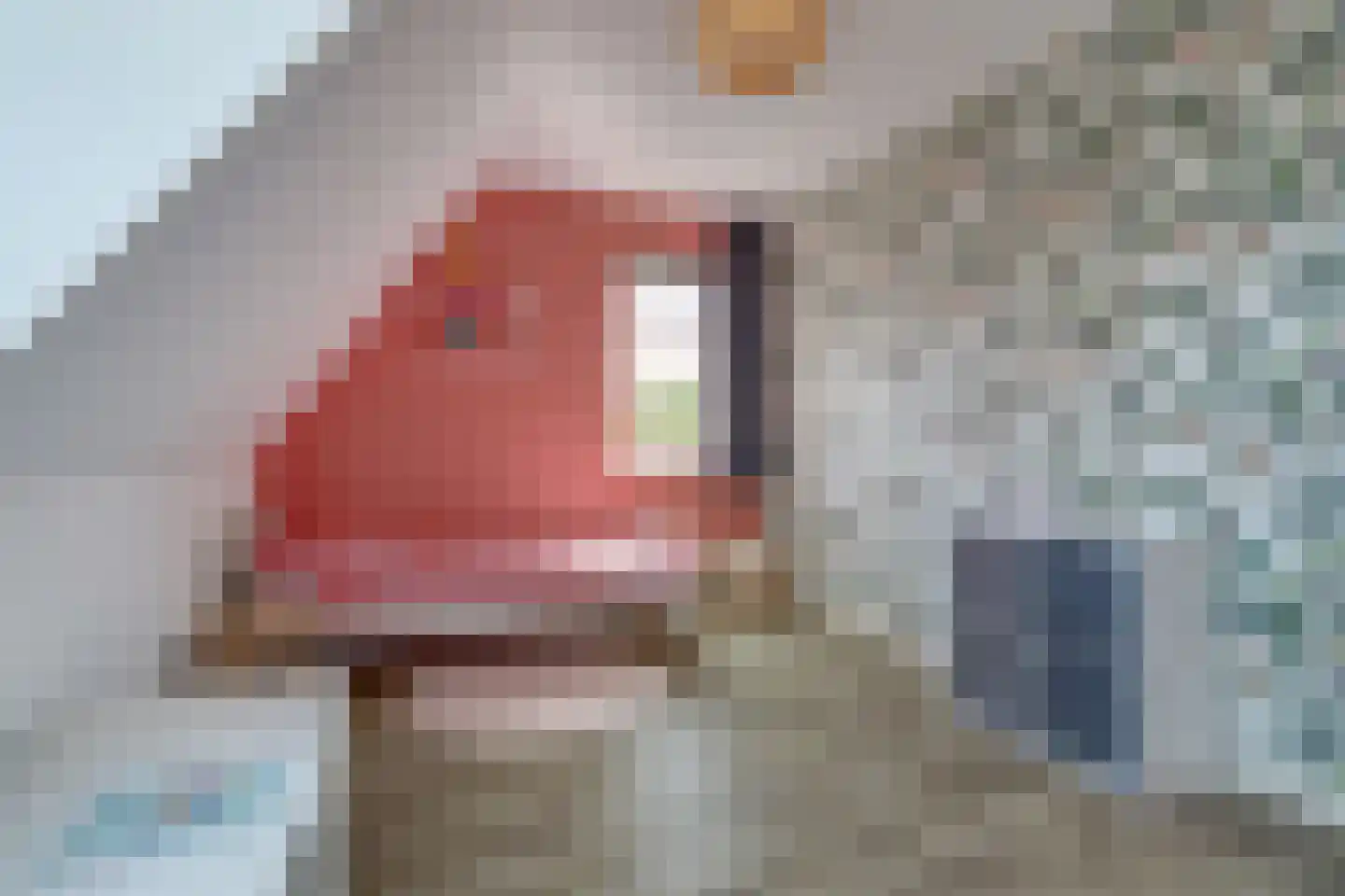 de Speelman 1 Reusel thumbnail 32