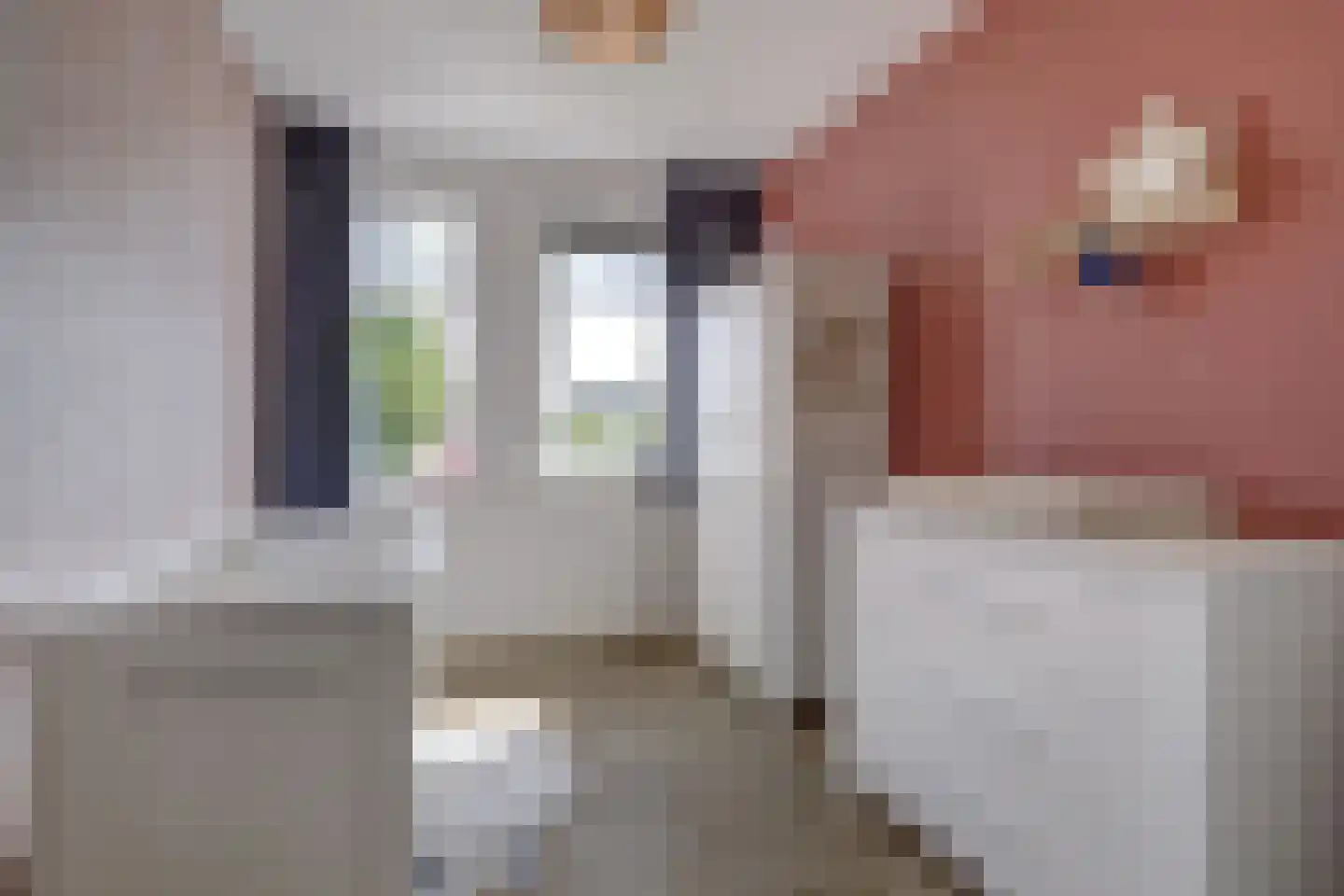 de Speelman 1 Reusel thumbnail 33
