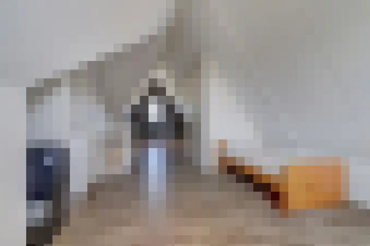 de Speelman 1 Reusel thumbnail 39
