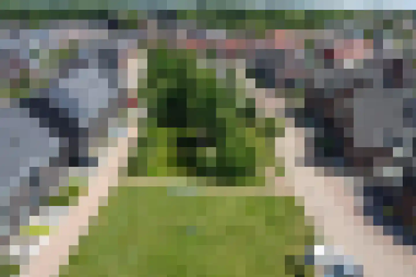 de Speelman 1 Reusel thumbnail 50