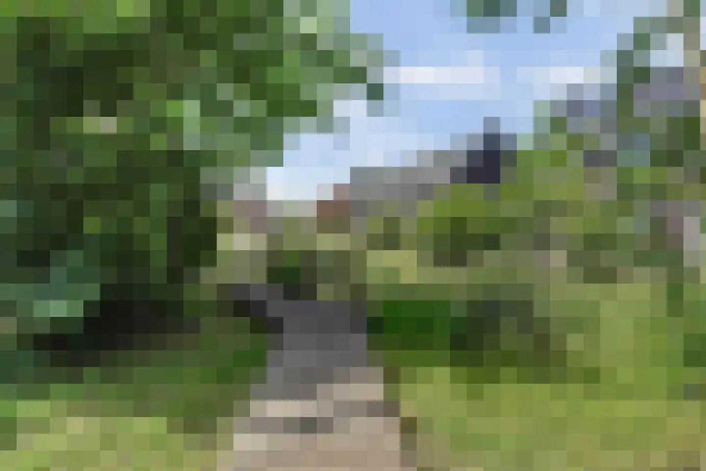 de Speelman 1 Reusel thumbnail 51