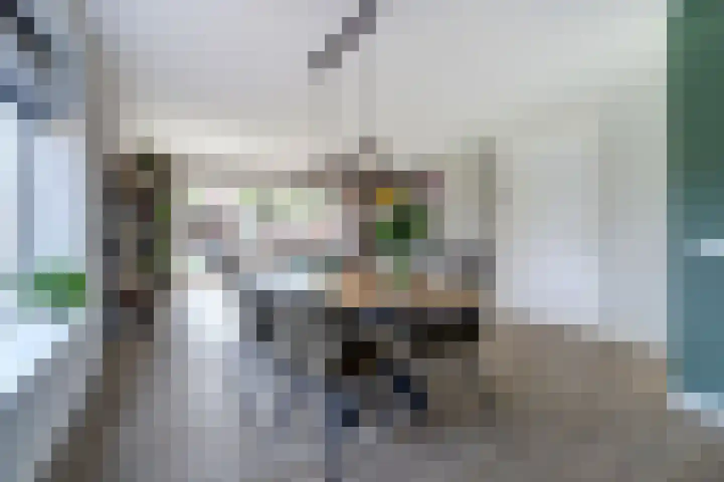 de Speelman 1 Reusel thumbnail 7