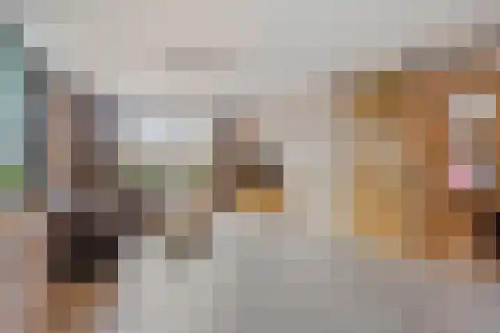 de Speelman 27 Reusel thumbnail 10