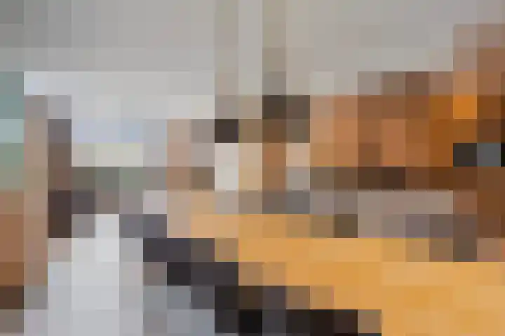 de Speelman 27 Reusel thumbnail 12