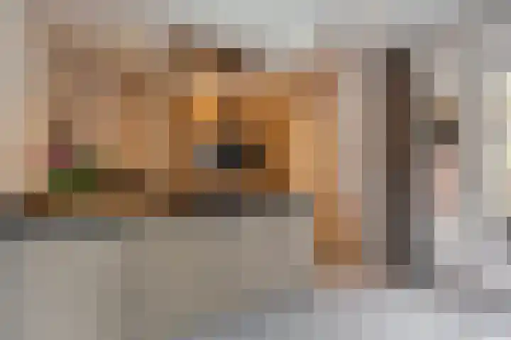 de Speelman 27 Reusel thumbnail 13