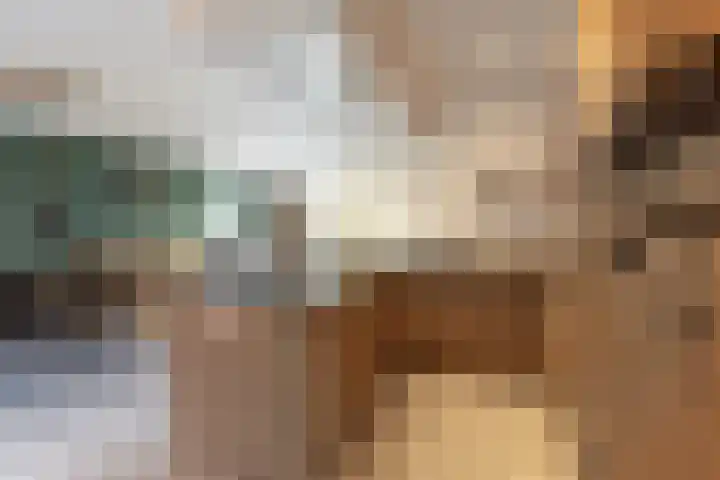 de Speelman 27 Reusel thumbnail 14