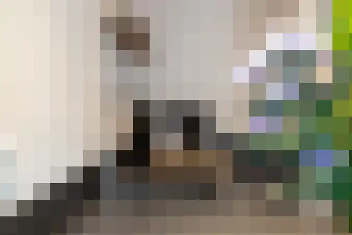 de Speelman 27 Reusel thumbnail 15