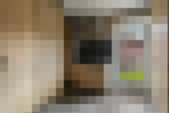 de Speelman 27 Reusel thumbnail 19