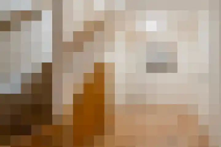 de Speelman 27 Reusel thumbnail 20