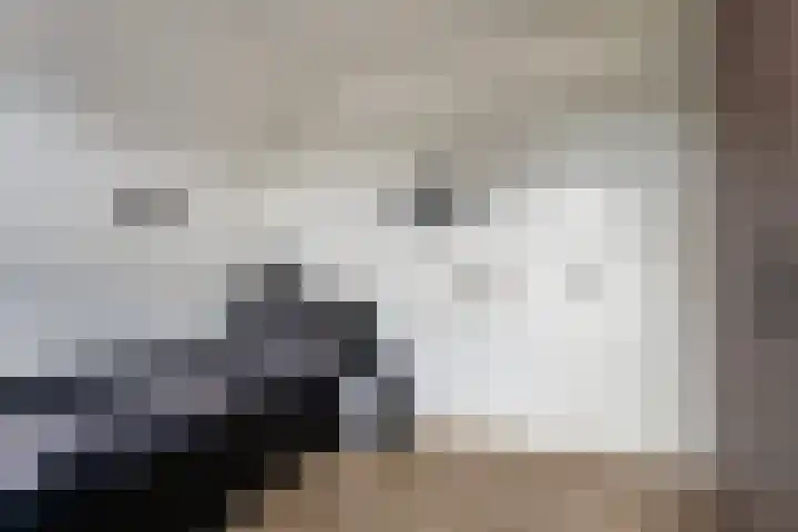 de Speelman 27 Reusel thumbnail 24
