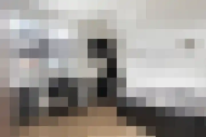 de Speelman 27 Reusel thumbnail 25