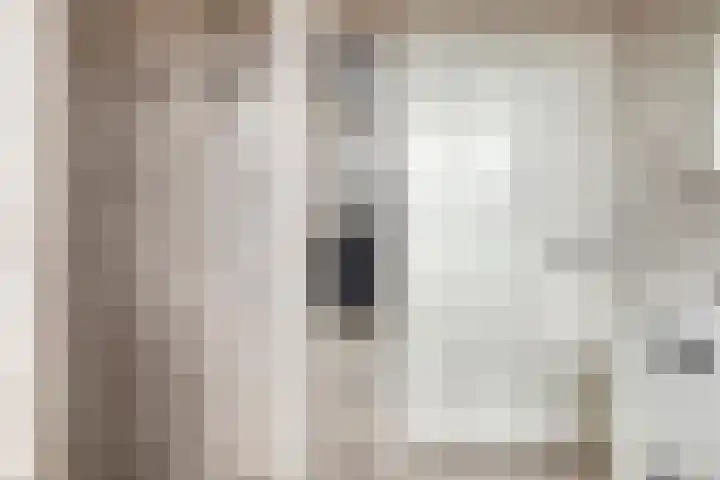de Speelman 27 Reusel thumbnail 30