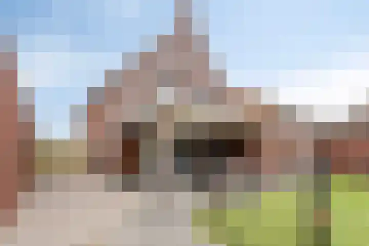 de Speelman 27 Reusel thumbnail 33
