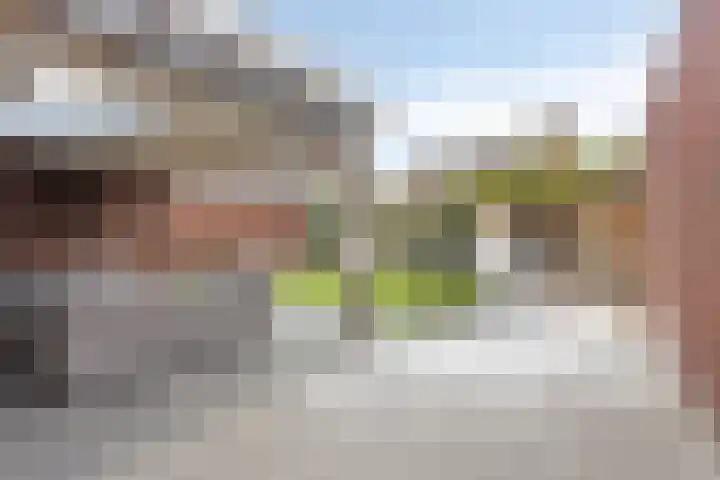 de Speelman 27 Reusel thumbnail 36