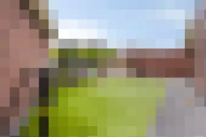 de Speelman 27 Reusel thumbnail 37