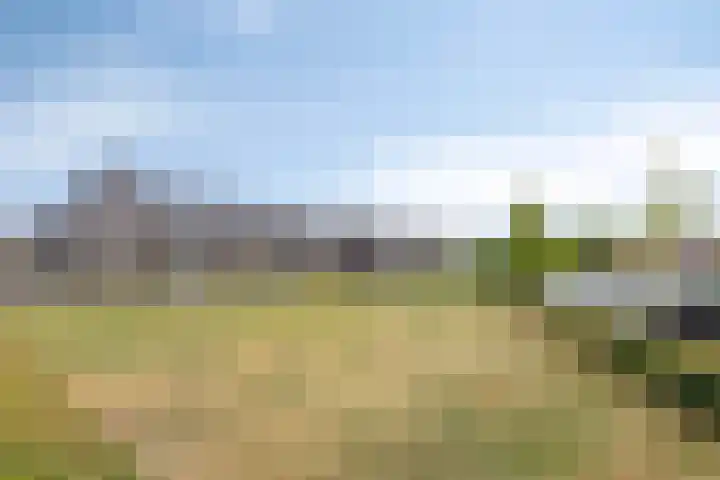 de Speelman 27 Reusel thumbnail 39