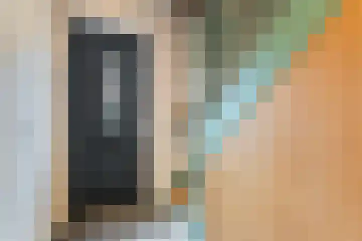 de Speelman 27 Reusel thumbnail 6