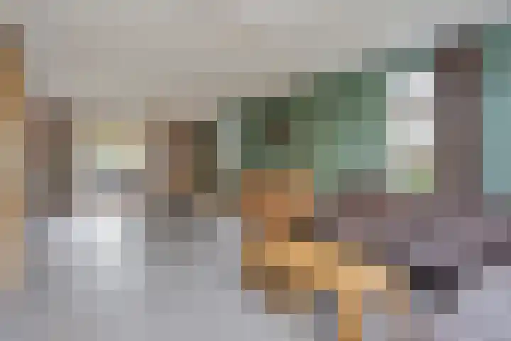 de Speelman 27 Reusel thumbnail 8