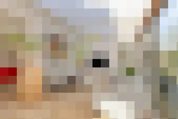 De Speldenmaker 25 Veldhoven thumbnail 13