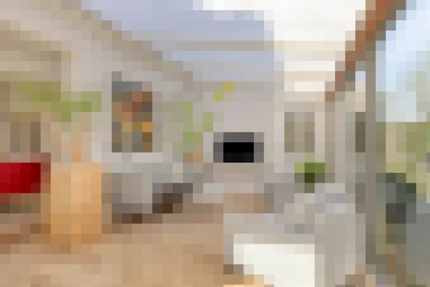 De Speldenmaker 25 Veldhoven thumbnail 13