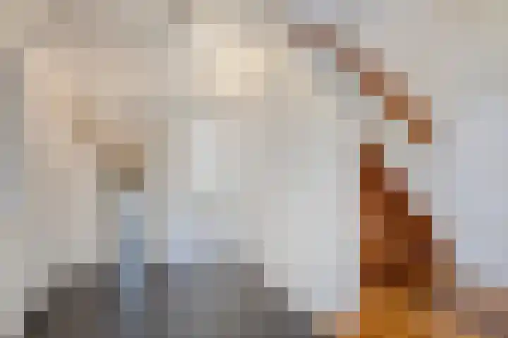 De Speldenmaker 25 Veldhoven thumbnail 21