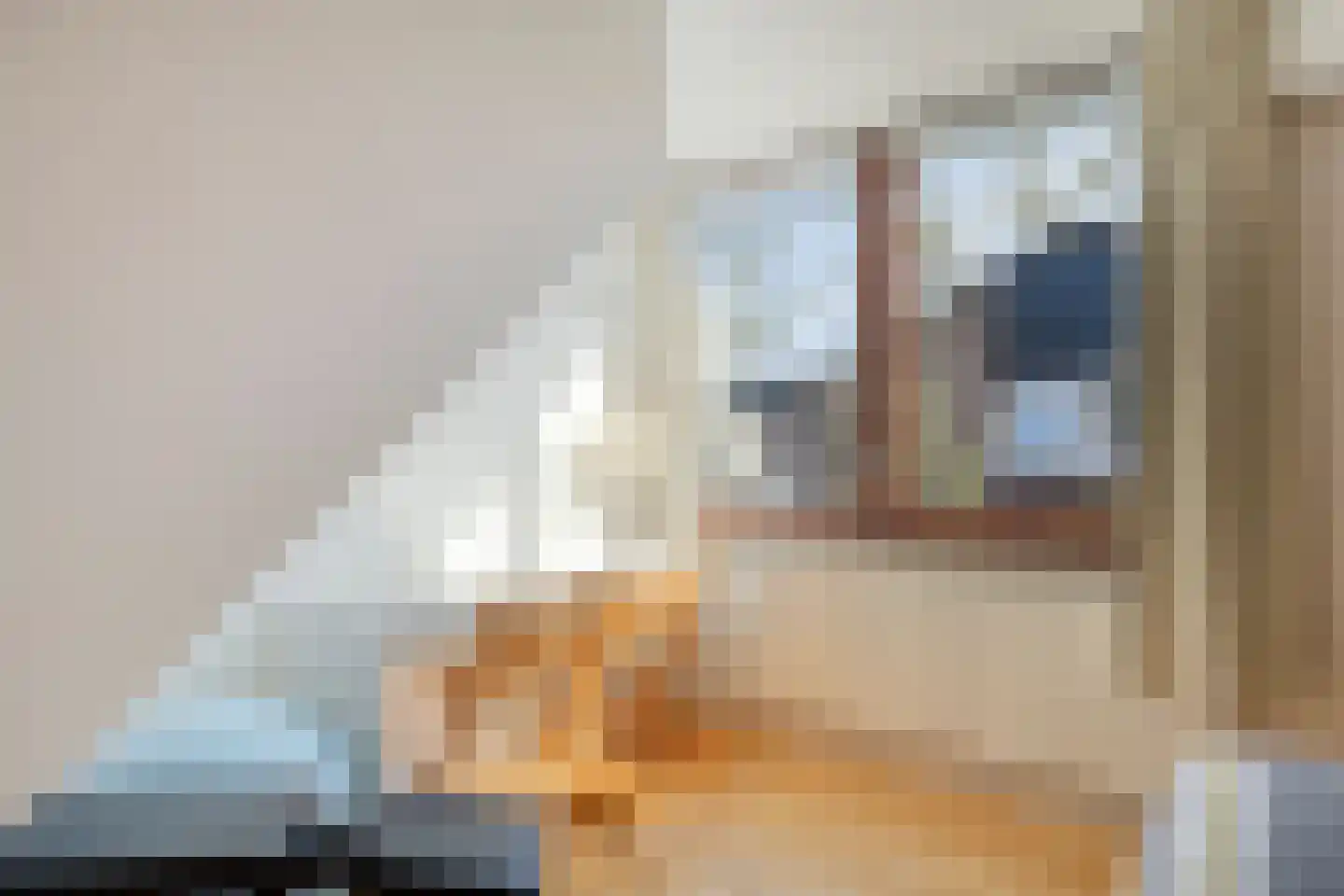 De Speldenmaker 25 Veldhoven thumbnail 30