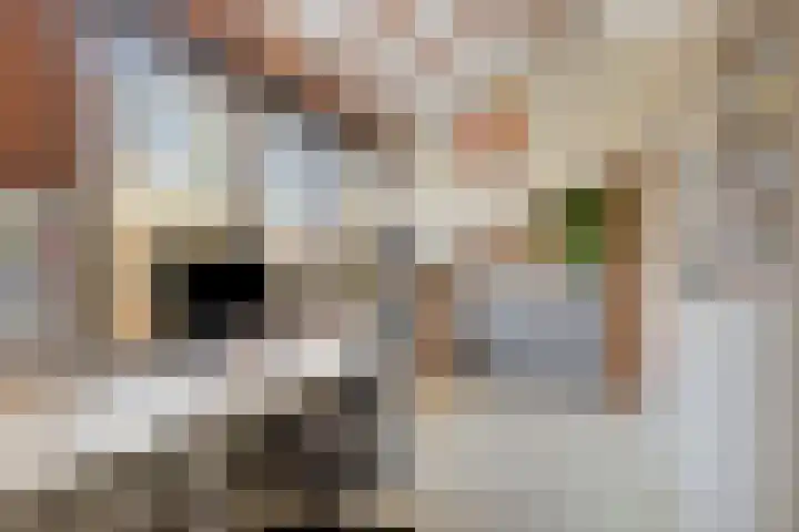 De Speldenmaker 25 Veldhoven thumbnail 31