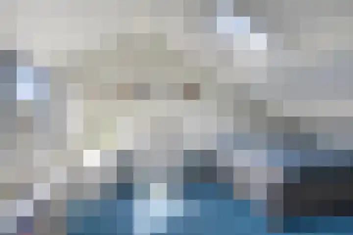 De Speldenmaker 25 Veldhoven thumbnail 36