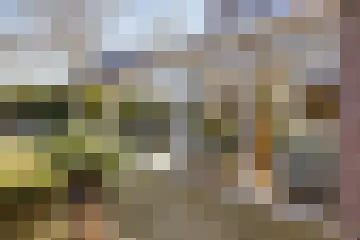 De Speldenmaker 25 Veldhoven thumbnail 43
