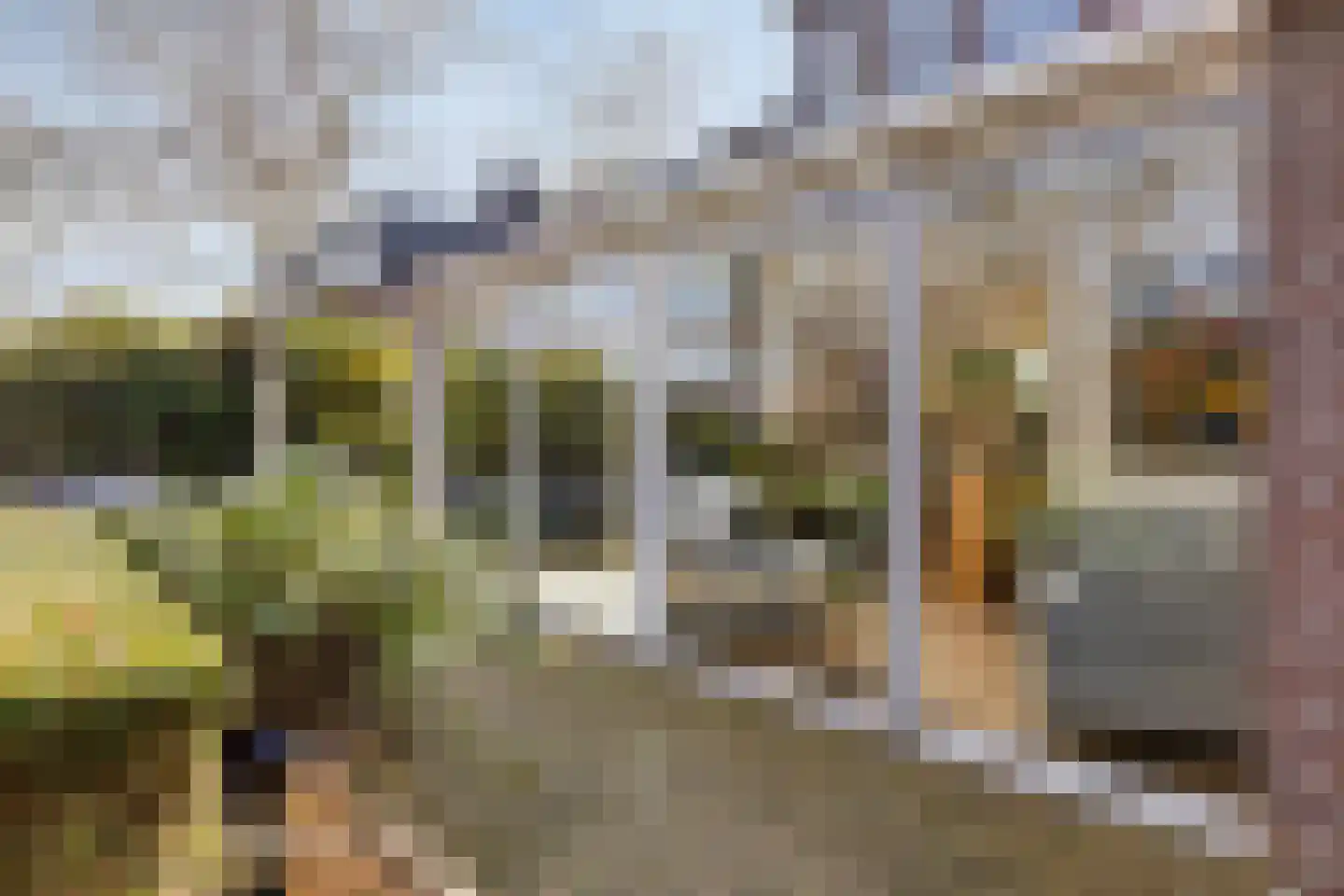 De Speldenmaker 25 Veldhoven thumbnail 43