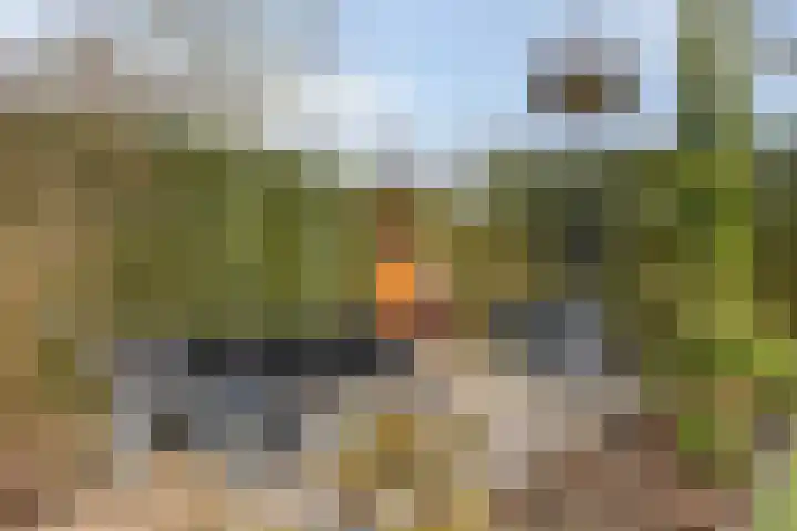 De Speldenmaker 25 Veldhoven thumbnail 44