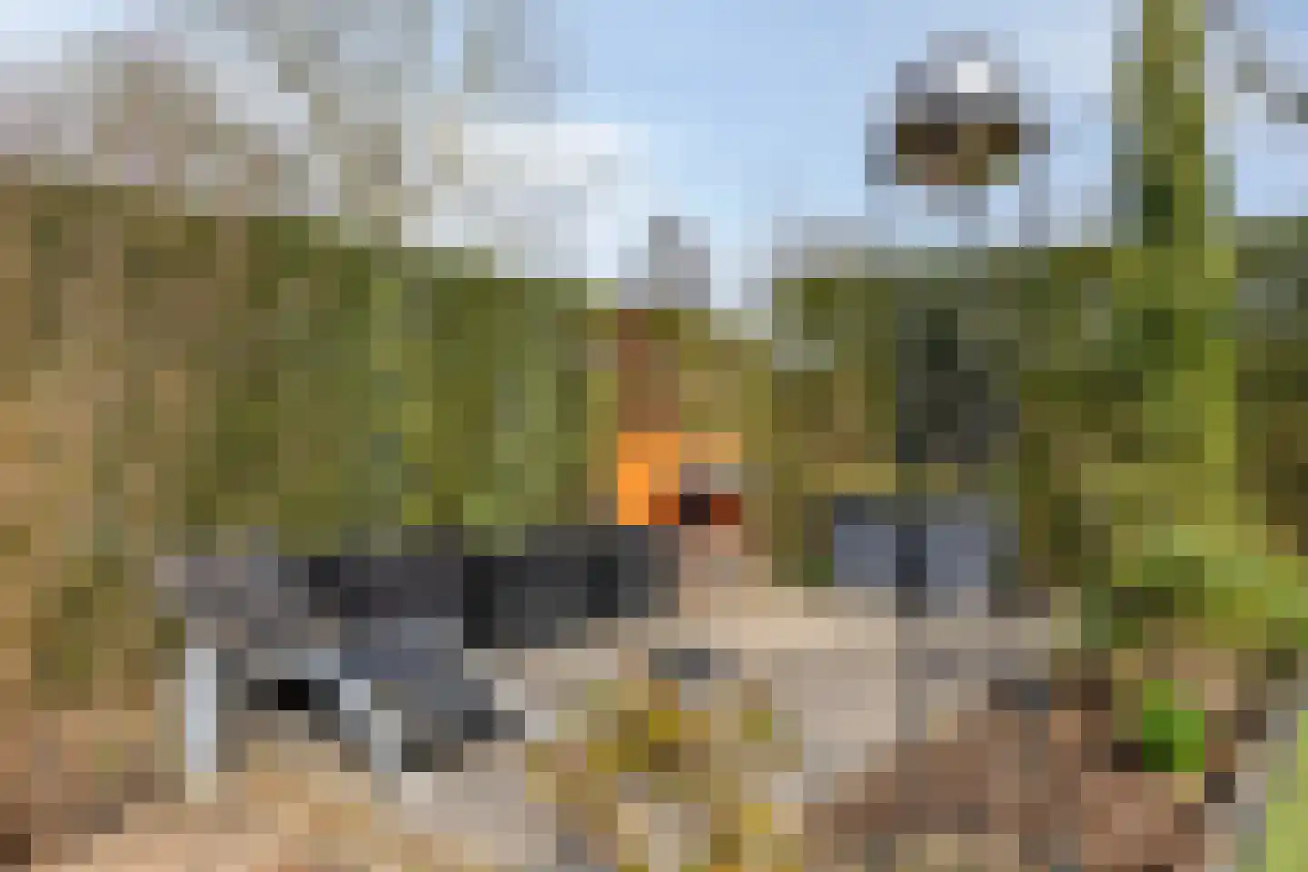 De Speldenmaker 25 Veldhoven thumbnail 44