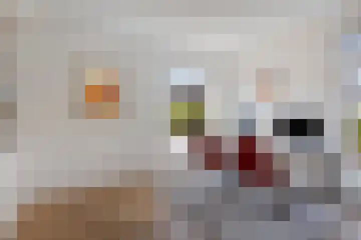 De Speldenmaker 25 Veldhoven thumbnail 8