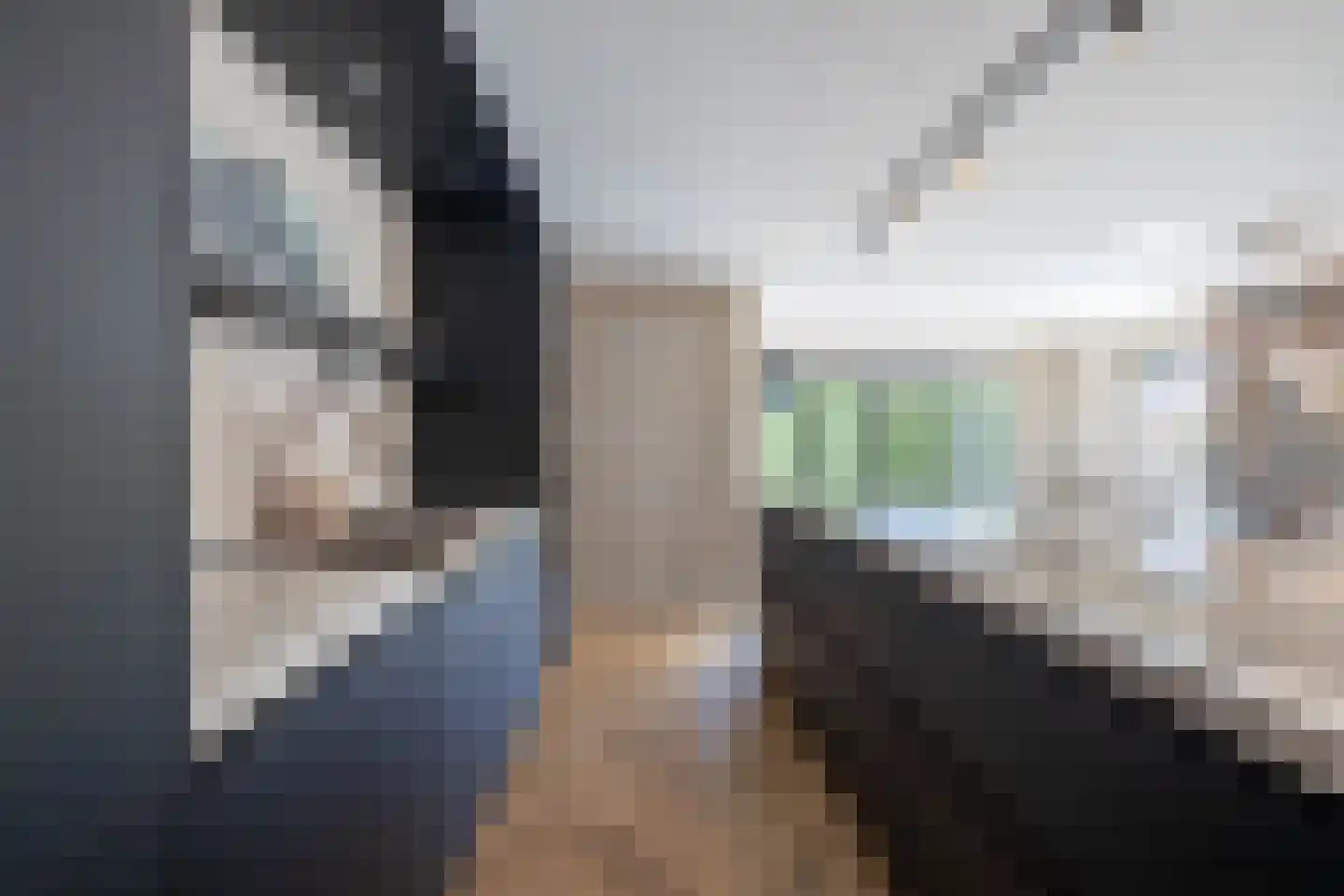 De Sperwer 1 Almelo thumbnail 10