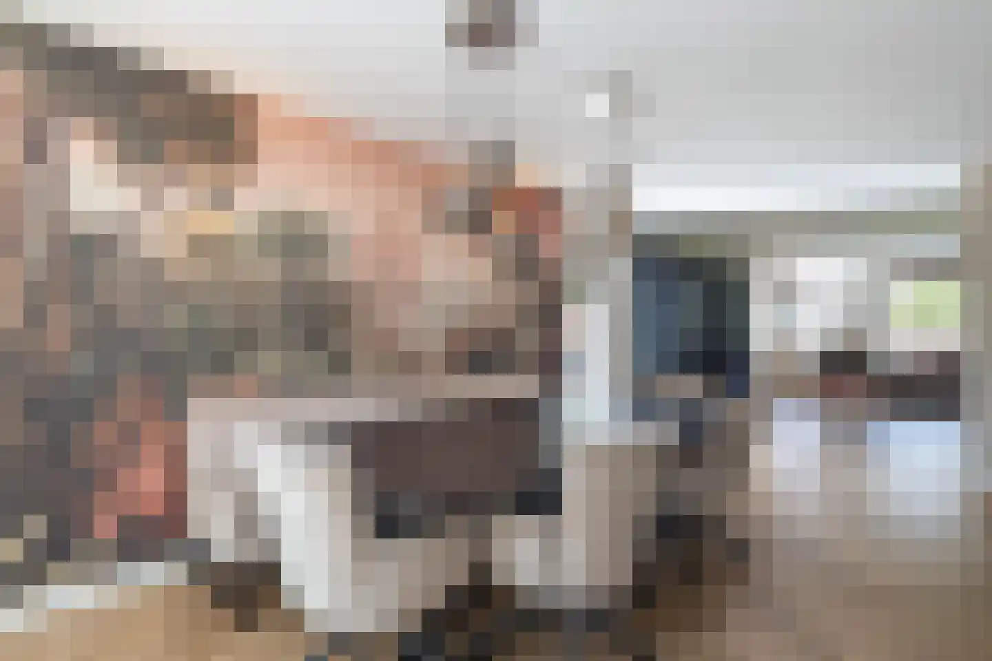 De Sperwer 1 Almelo thumbnail 12