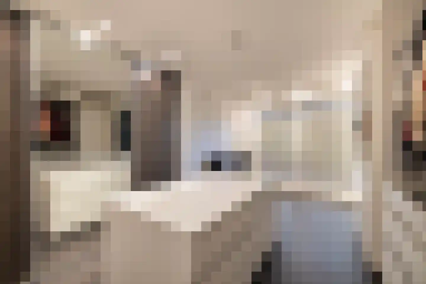 De Sperwer 1 Almelo thumbnail 13