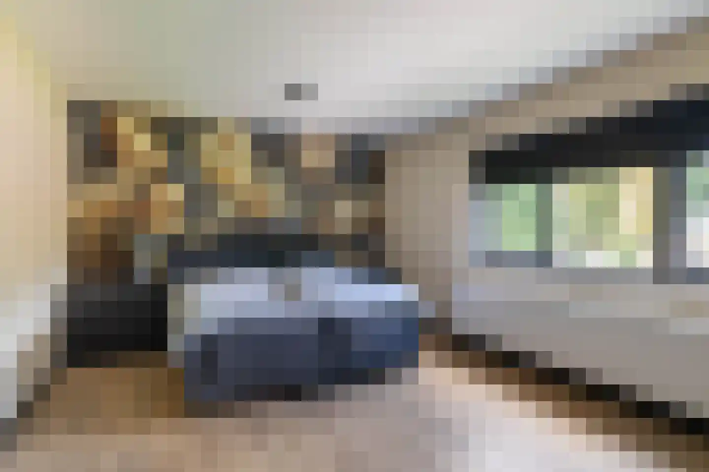 De Sperwer 1 Almelo thumbnail 18