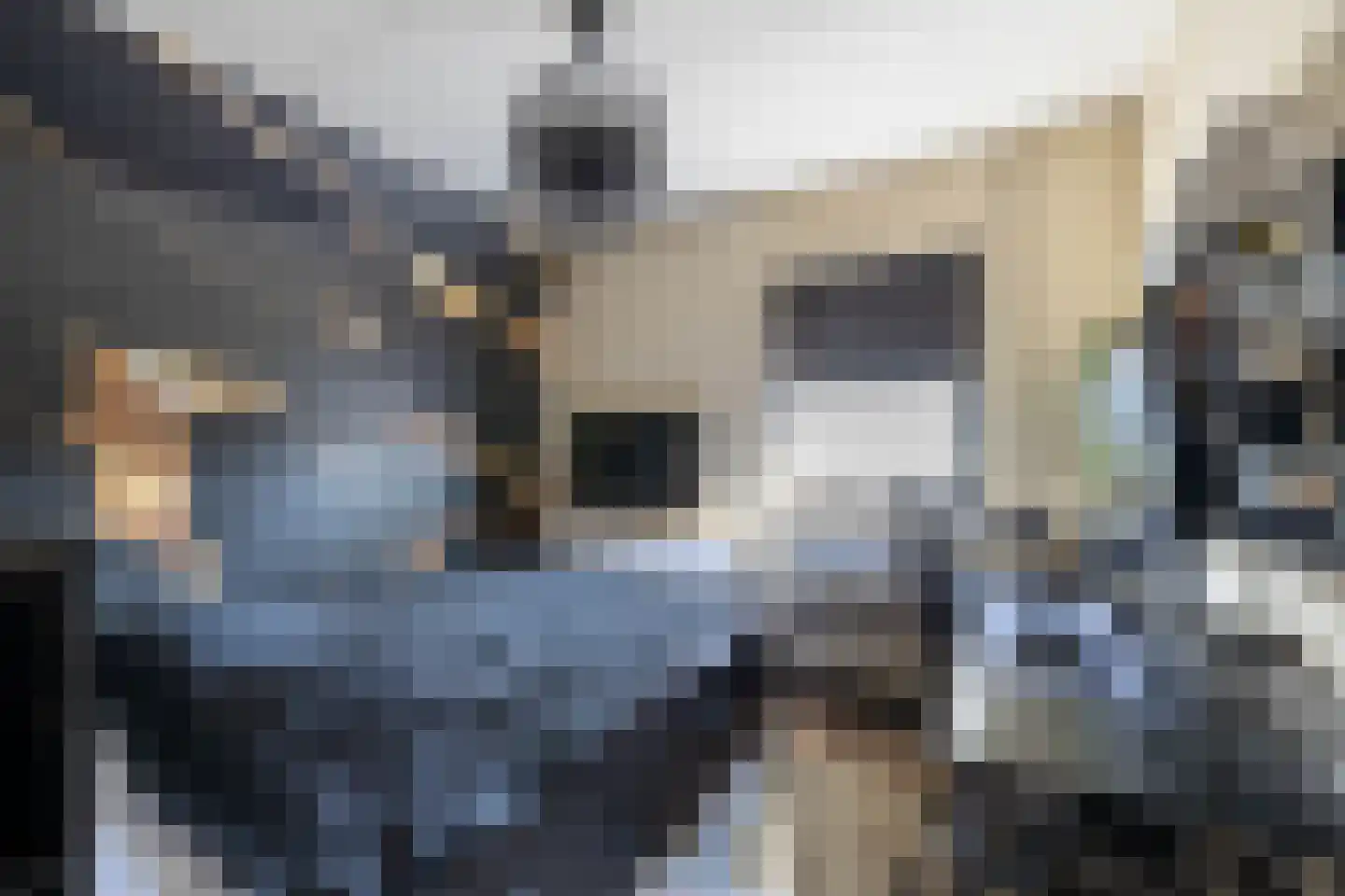De Sperwer 1 Almelo thumbnail 21