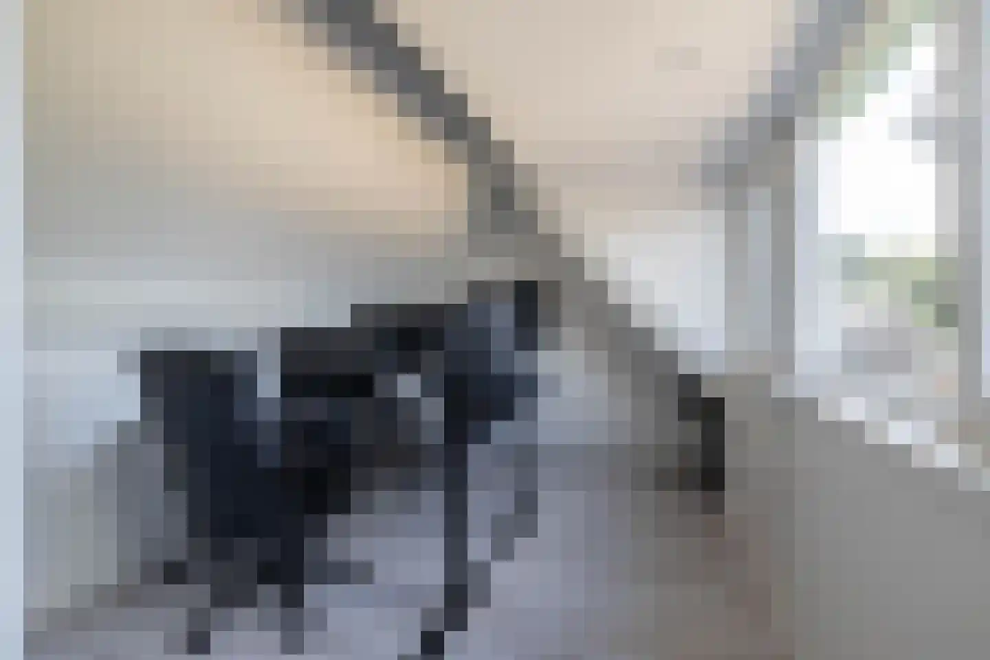 De Sperwer 1 Almelo thumbnail 26